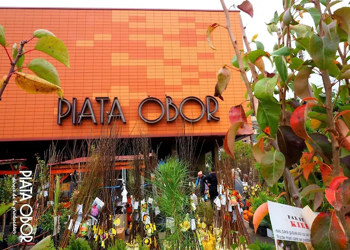 Cozy City Retreat, Obor Market & Metro Bucureşti